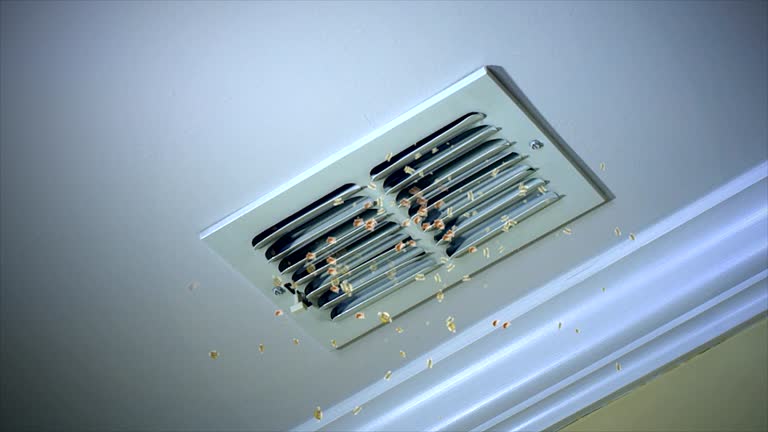 Professional Airduct Cleaning in Bigfork, MT
