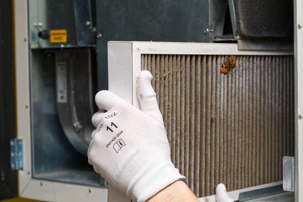 Best Residential Air Duct Cleaning  in Bigfork, MT