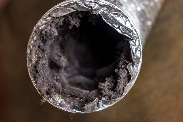 Best Air Duct Cleaning Near Me  in Bigfork, MT